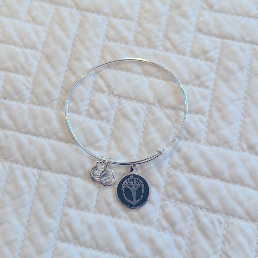 Alex and Ani Tree of Life bracelet